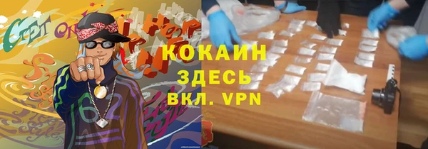прущие грибы Елизово