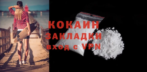 прущие грибы Елизово