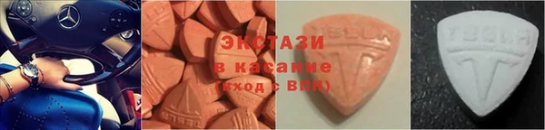 прущие грибы Елизово