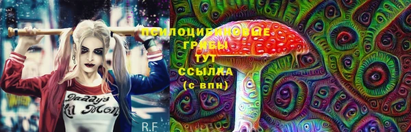 ECSTASY Дмитров
