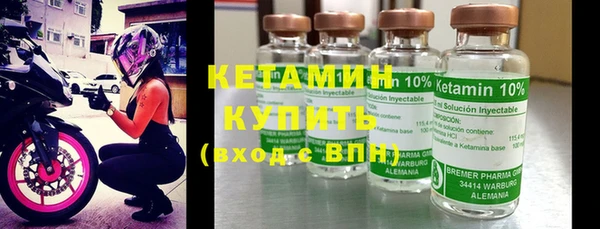 прущие грибы Елизово