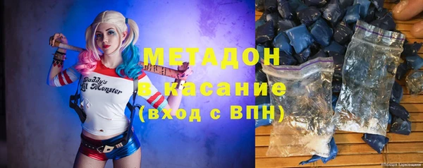 прущие грибы Елизово