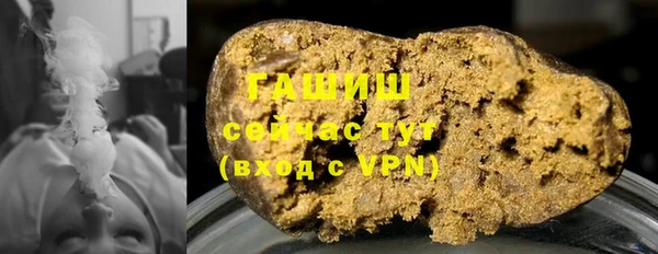 прущие грибы Елизово