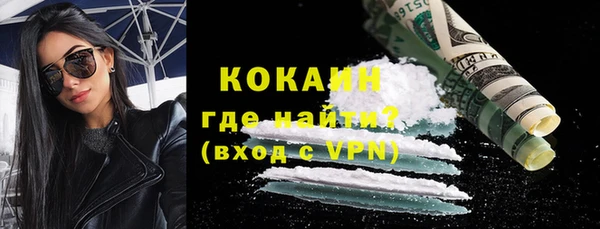 прущие грибы Елизово