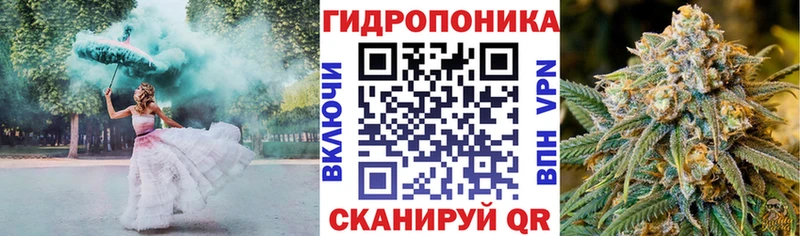 продажа наркотиков  Новая Ладога  МАРИХУАНА SATIVA & INDICA 